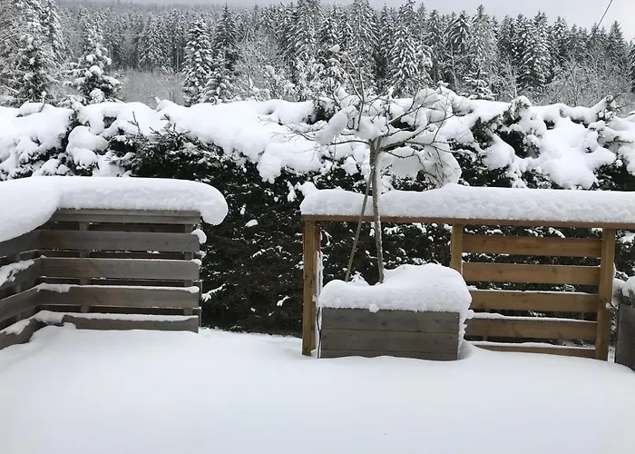 Vakantiehuis Le Grand Sapin. Maison Au Calme Proche Commerces Gérardmer